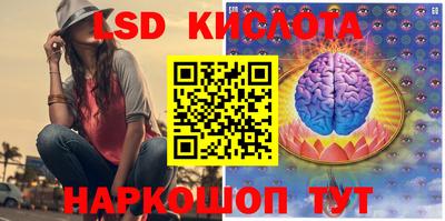 крисы Тулун
