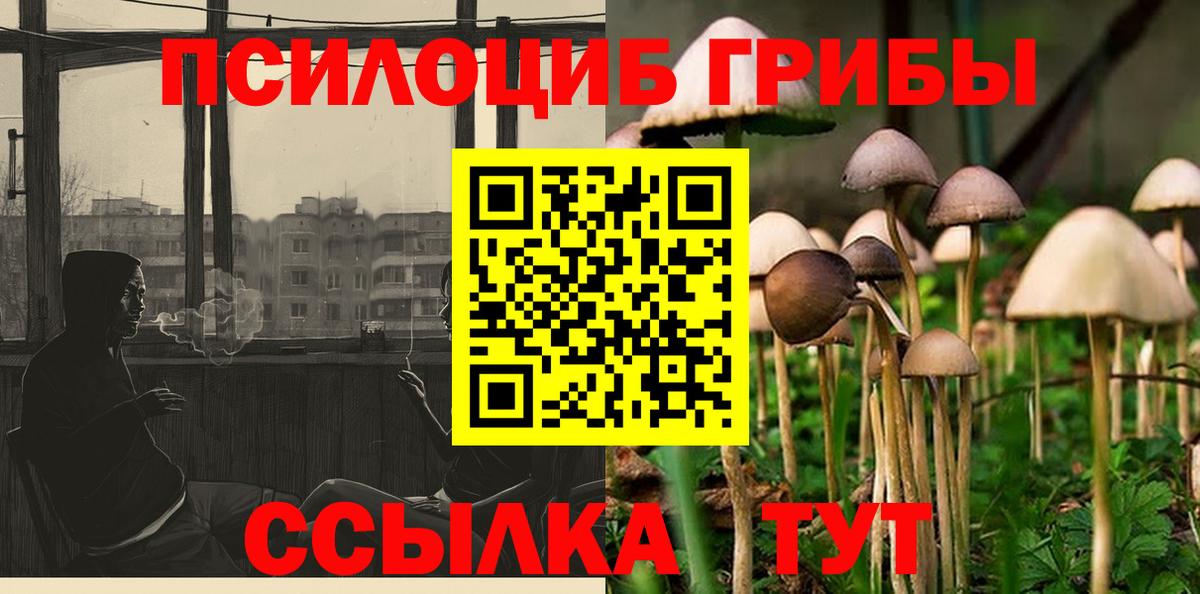 Псилоцибиновые грибы ЛСД  Вход с VPN  Псилоцибиновые грибы мицелий  Азнакаево 